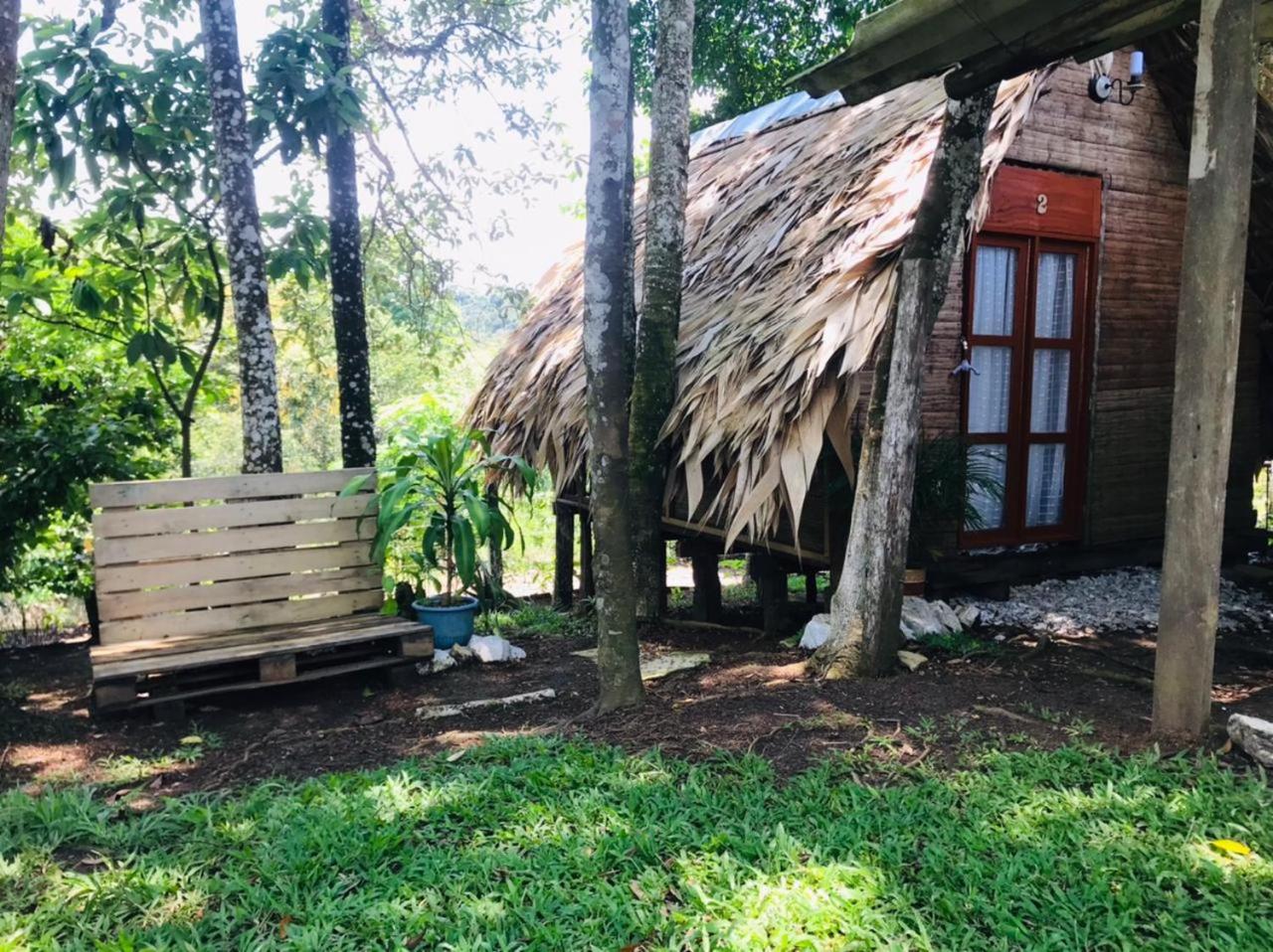 Finca Alto Bonito
