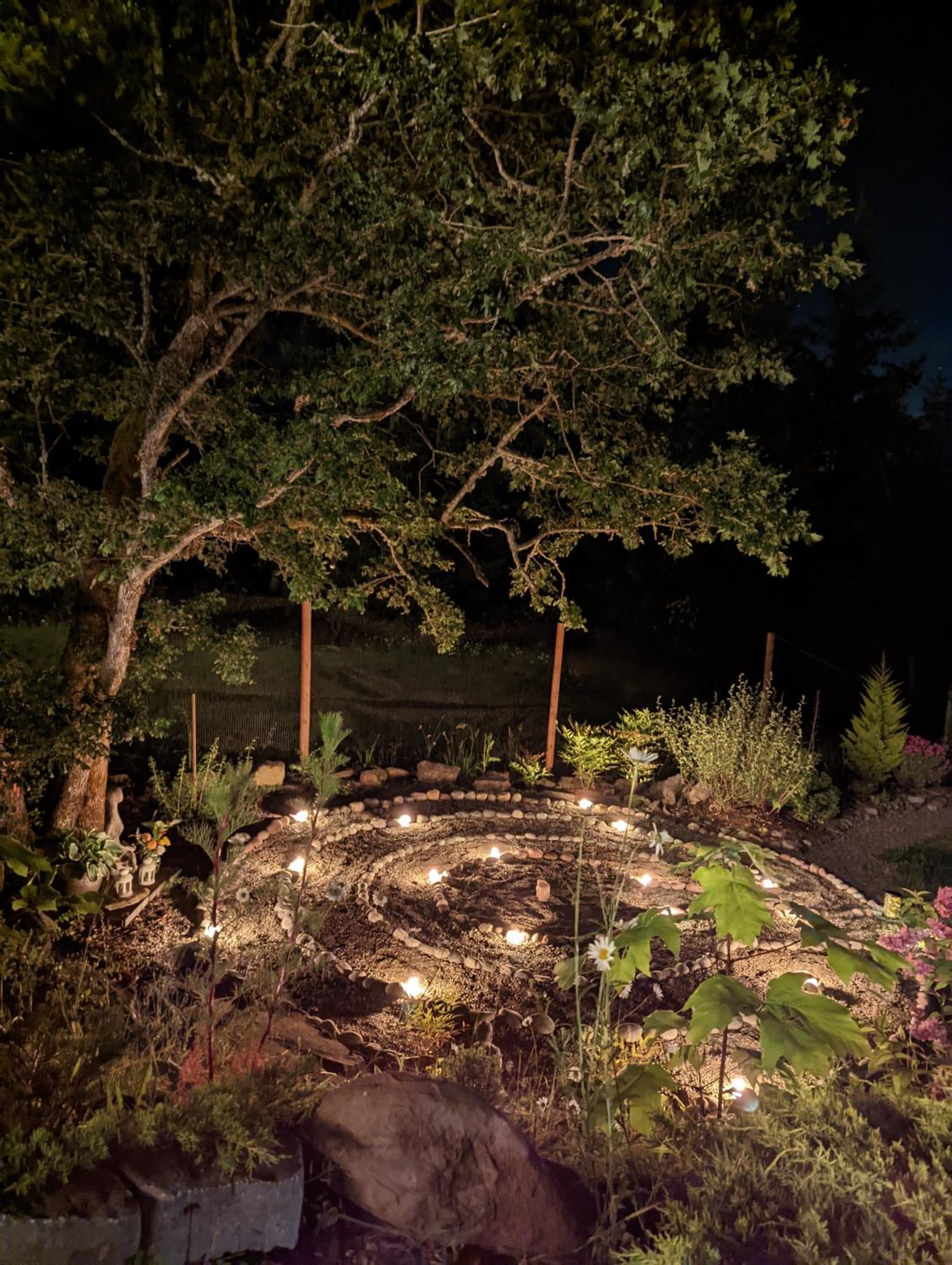 Maple Rise Guesthouse