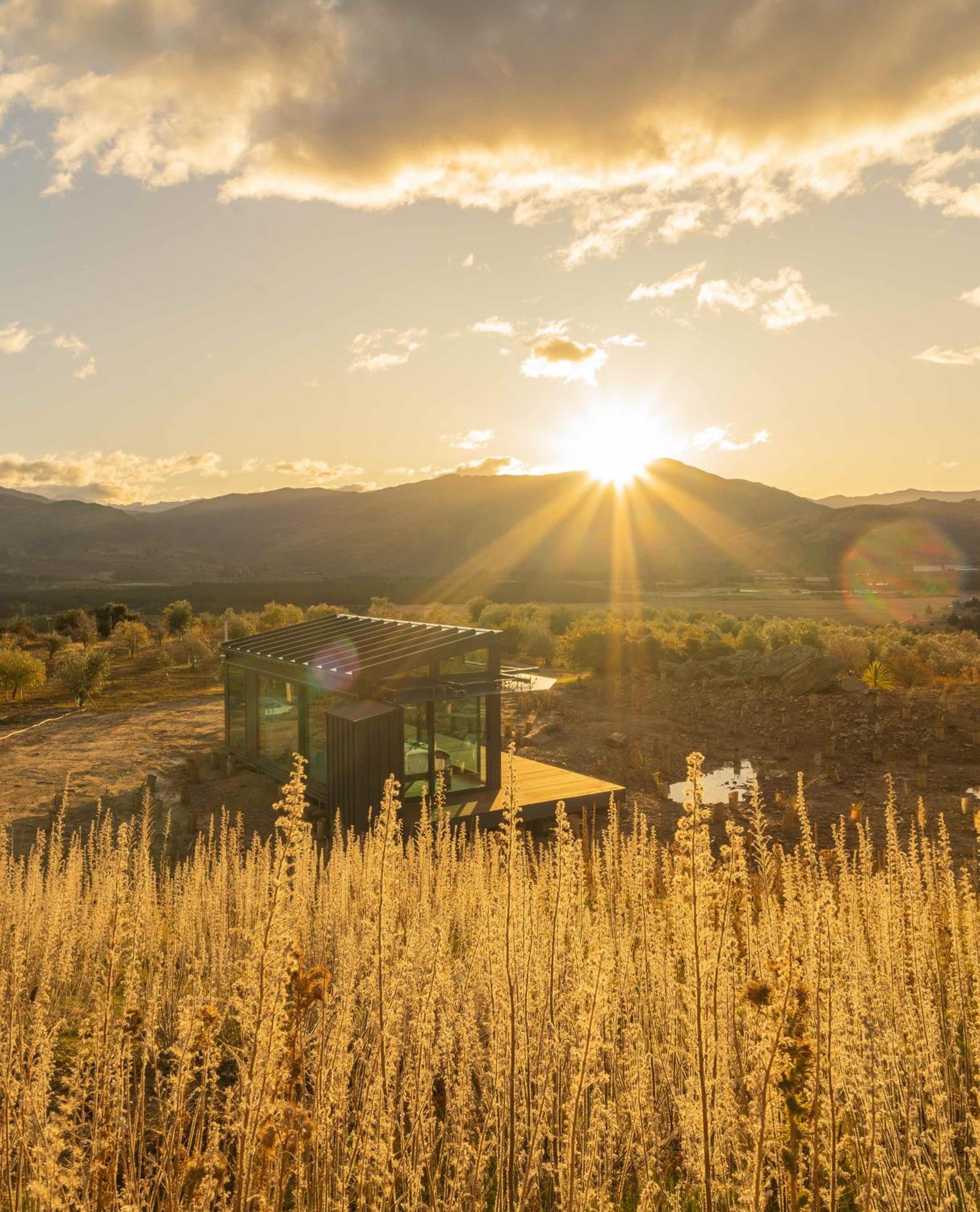 Hotel Haurapa PurePod - Image 1