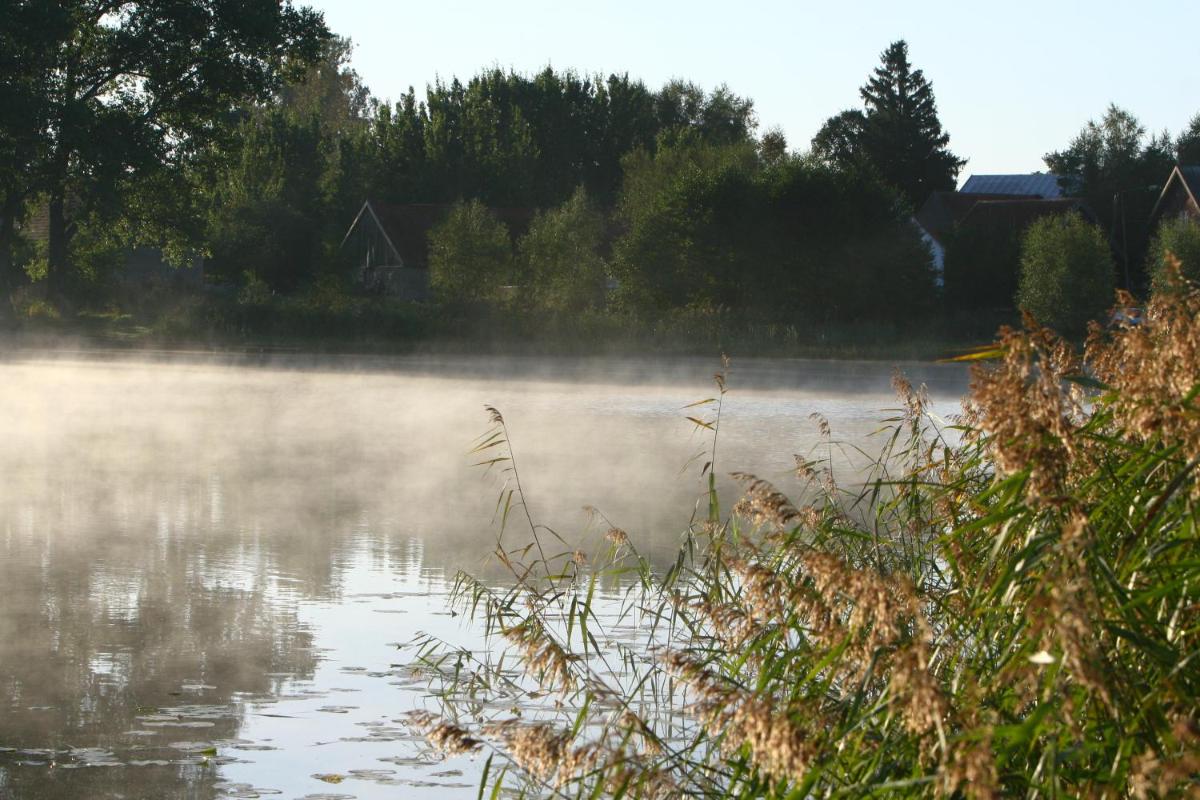 Photo 45