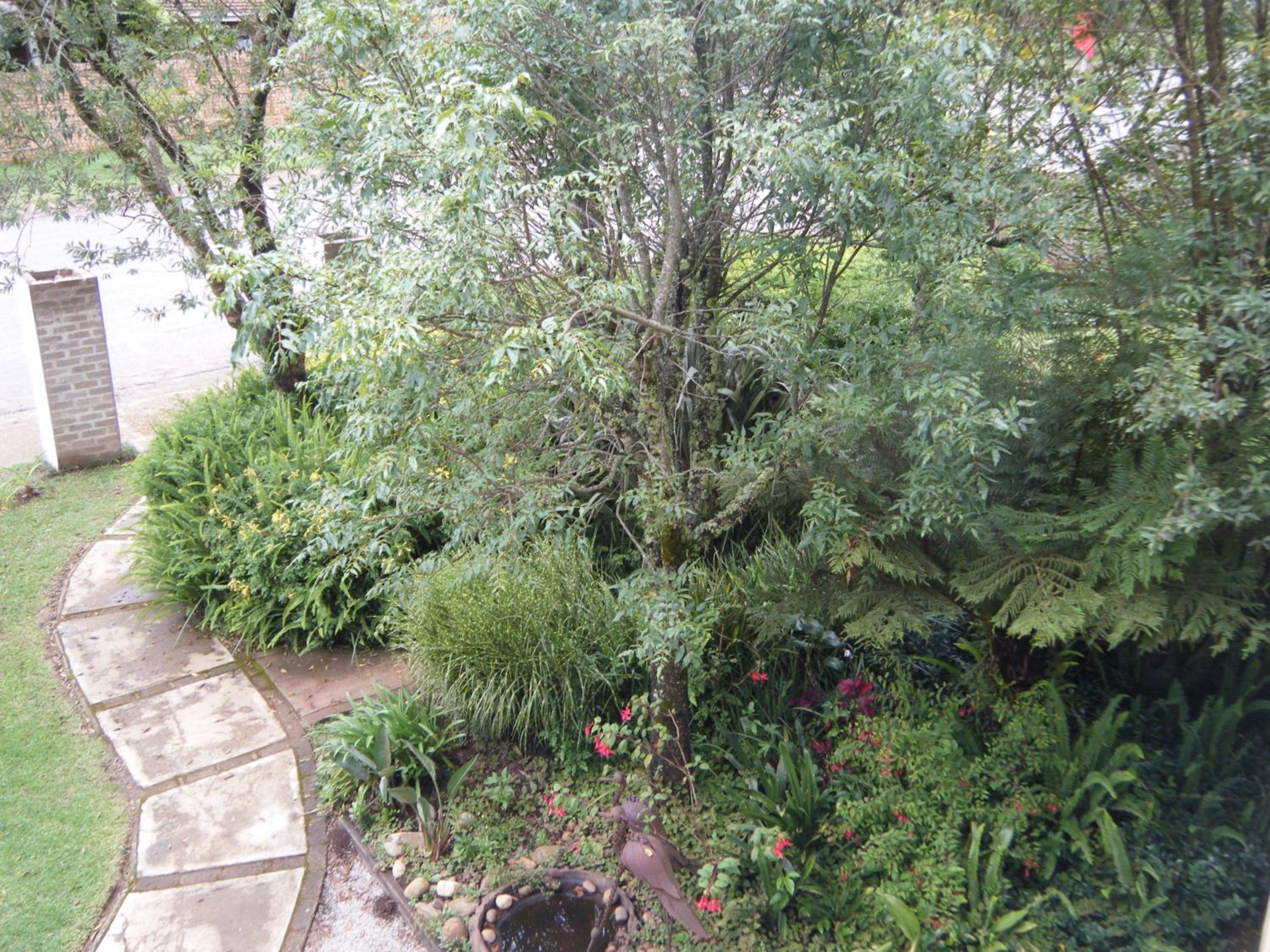 Autumn Breeze Manor Guest House