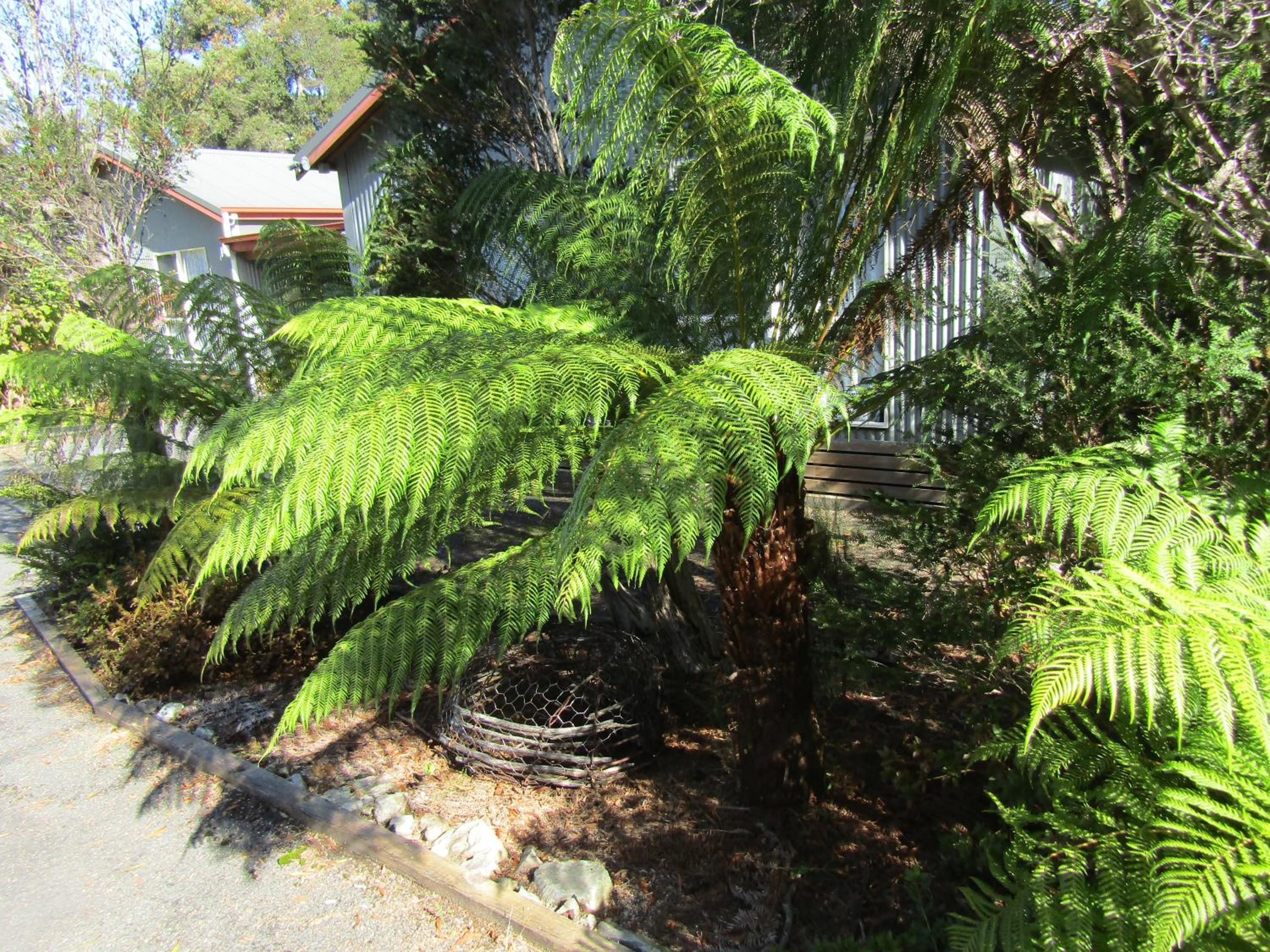 The Crays Accommodation