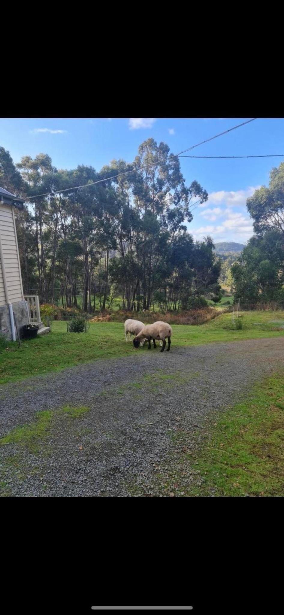 Jo’s Farmhouse B&B