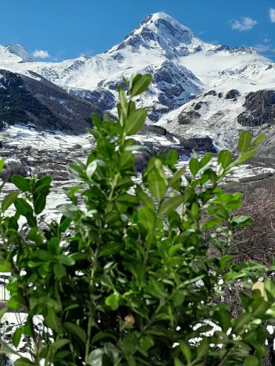 Emotion Kazbegi