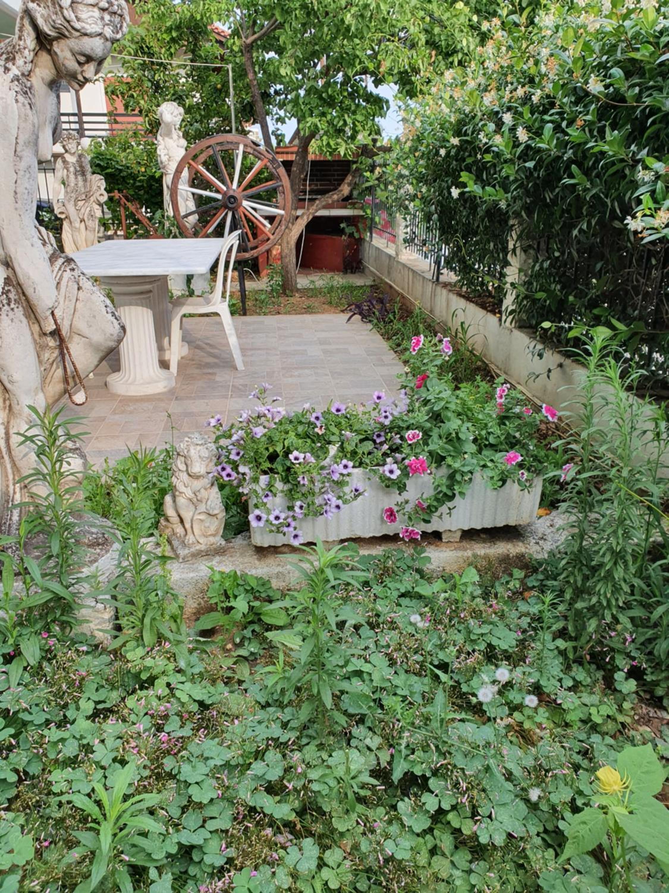 Photo 43