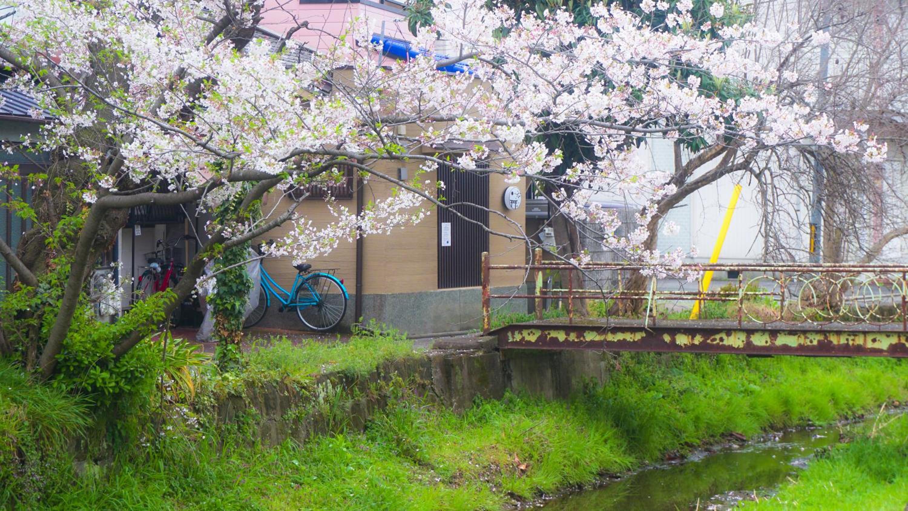 伏見稲荷平田町, Kyoto - 6