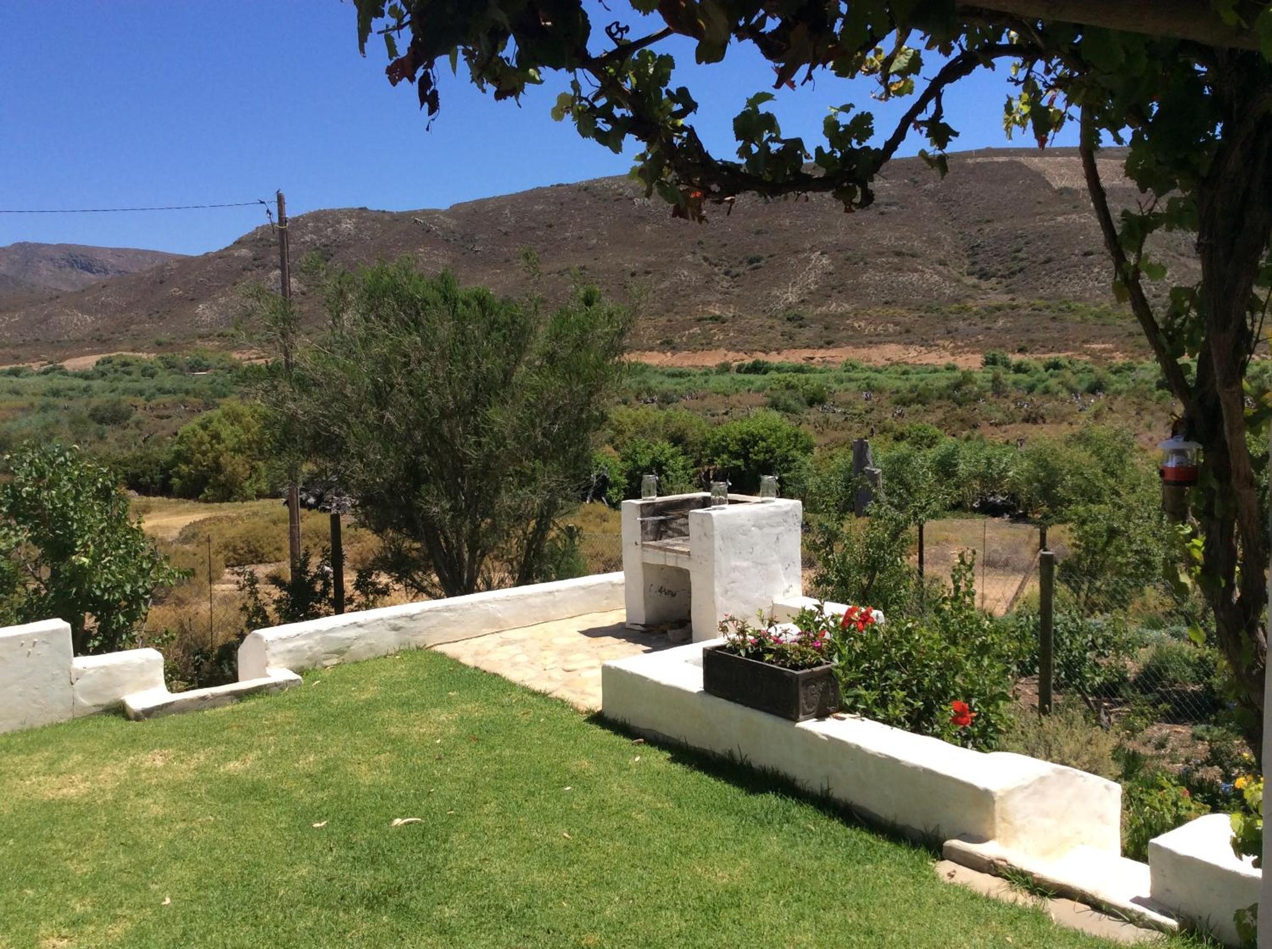 Plum Tree Cottage view 5
