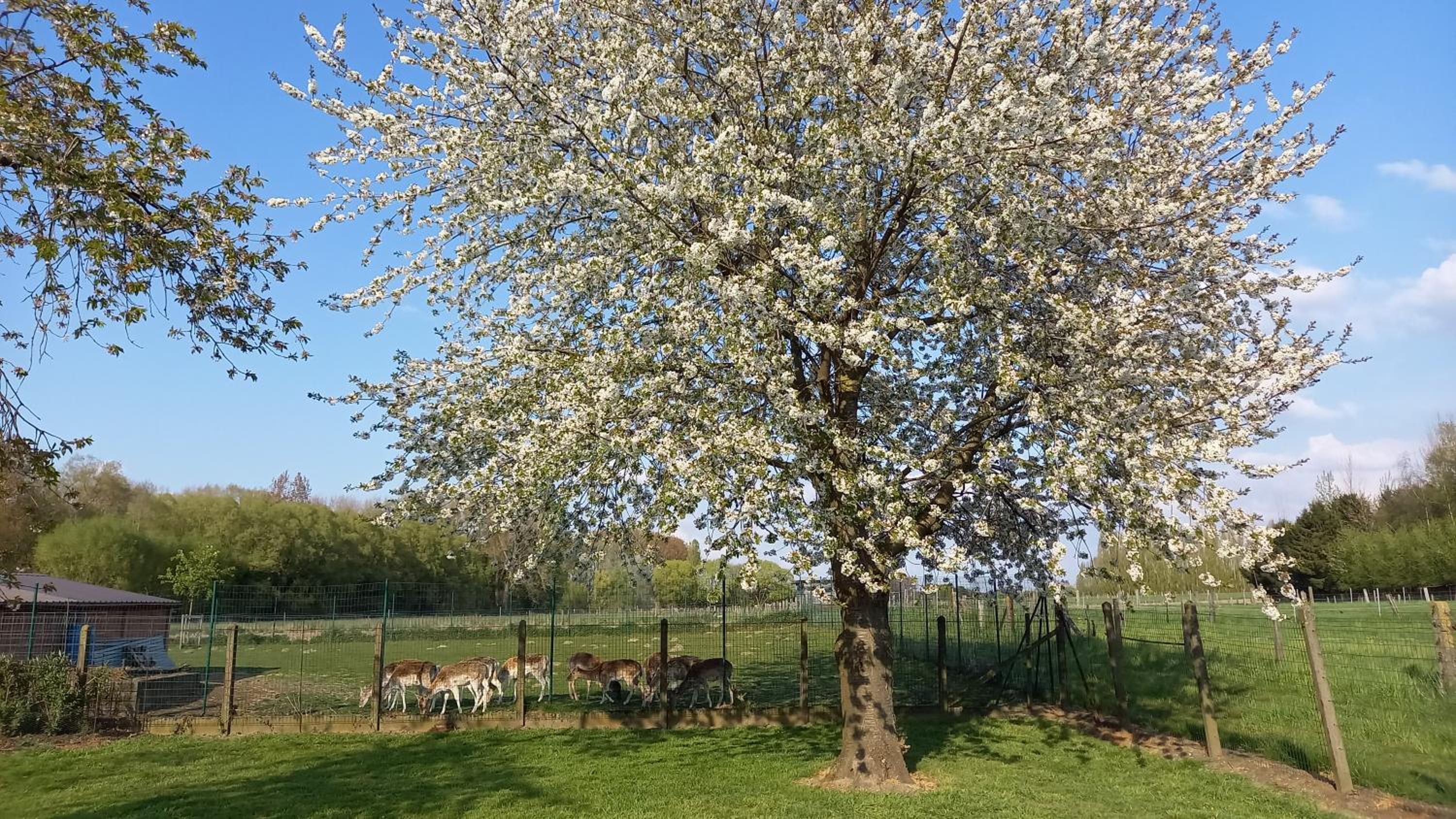 Natuurschoon Vakantiewoning Moorsel