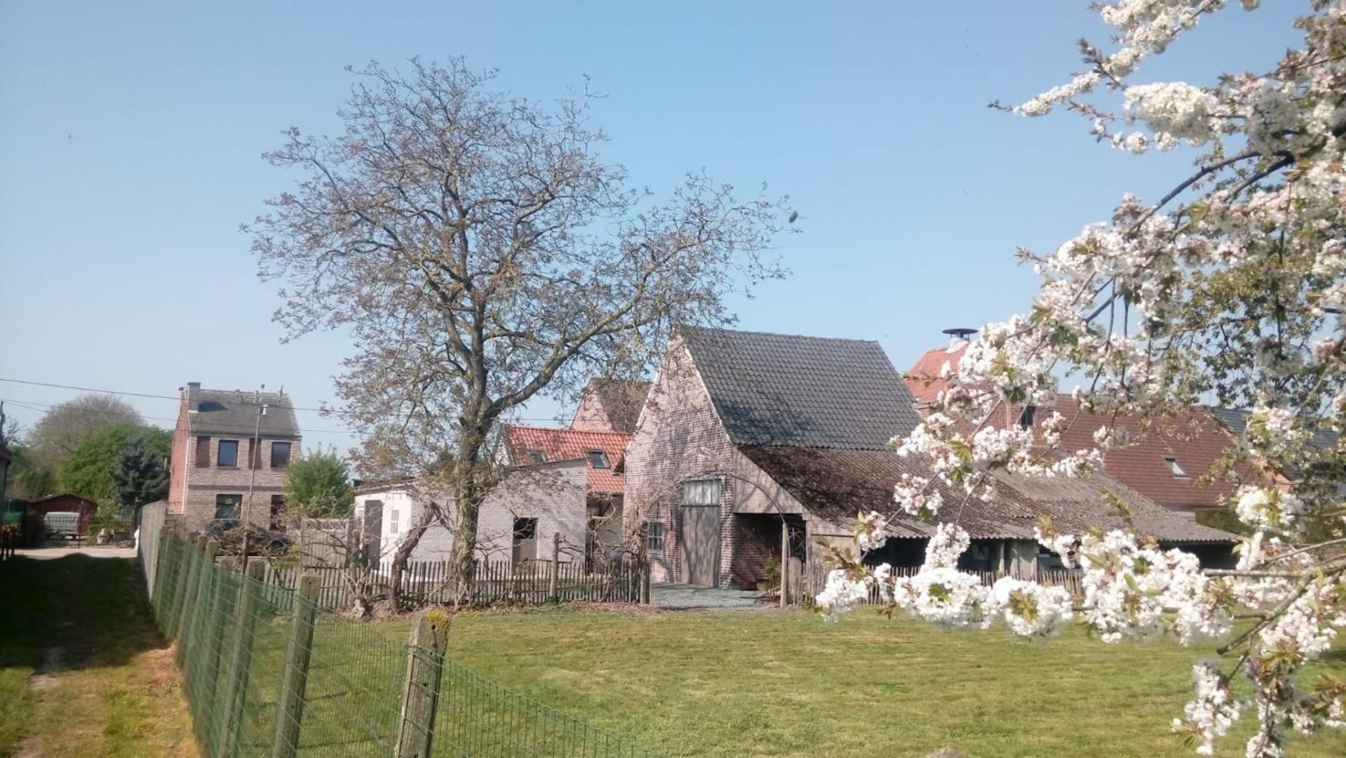 Natuurschoon Vakantiewoning Moorsel