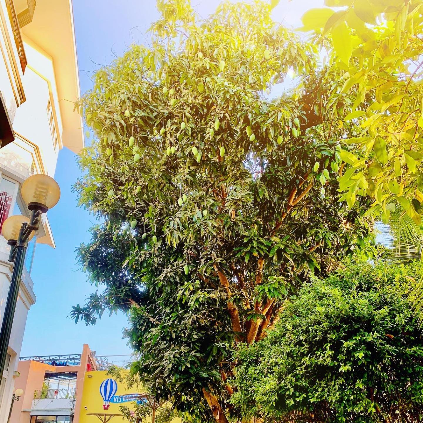 Ben Tre Riverside Resort