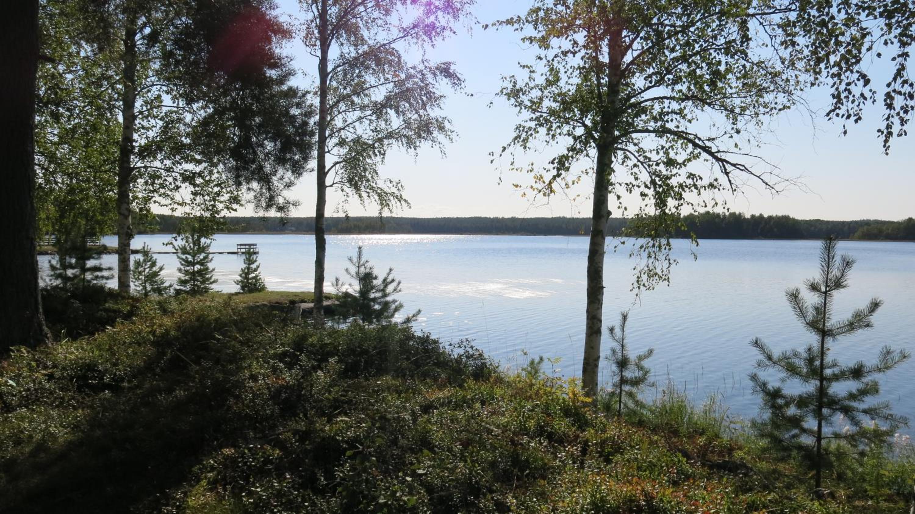 Photo 41