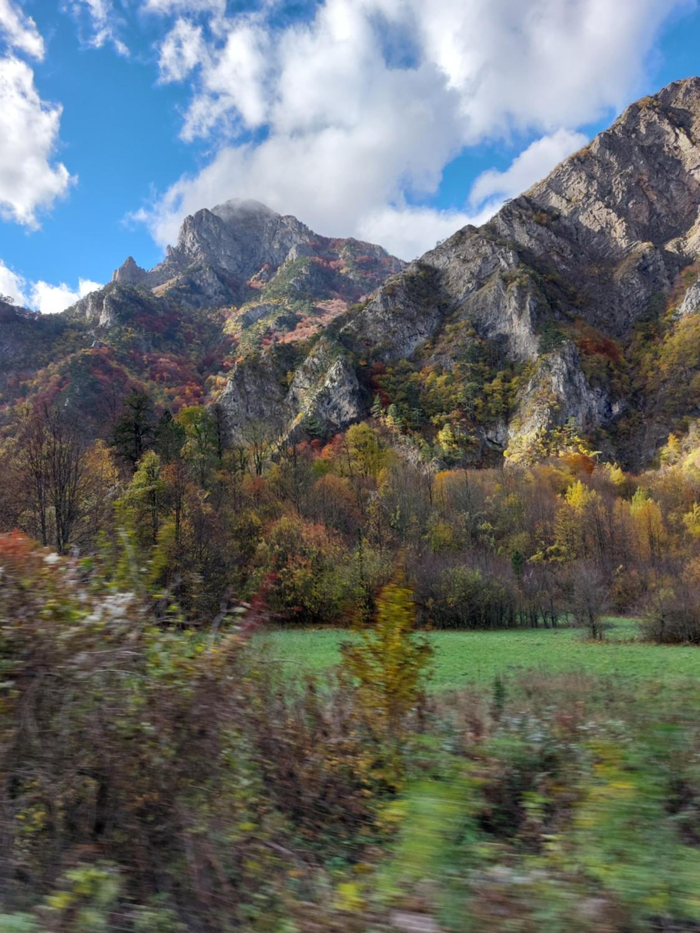 Tratinčica