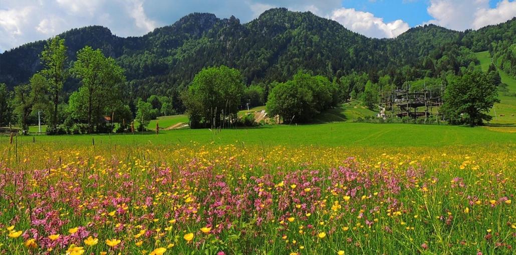 Streidlhof
