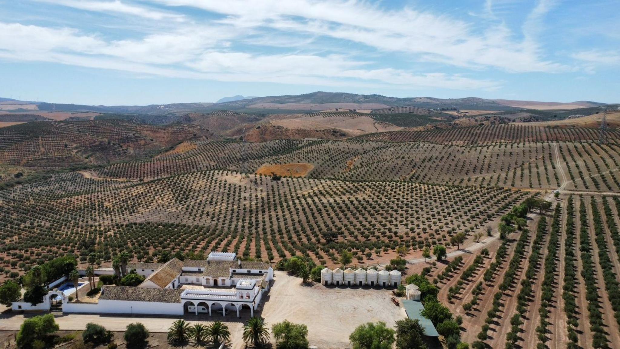 Cortijo Doñana