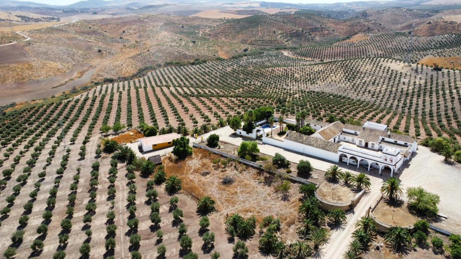 Cortijo Doñana