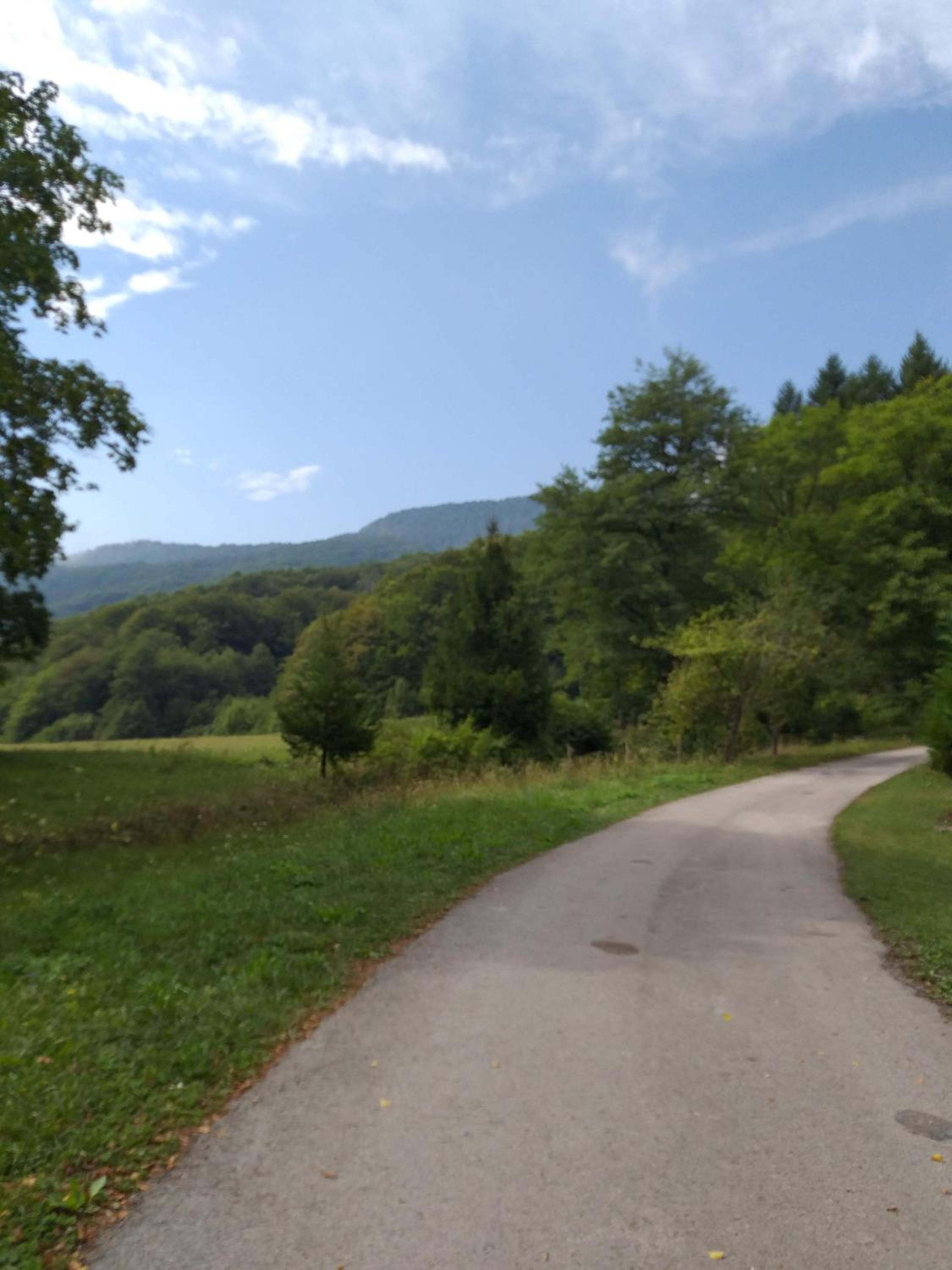 Tratinčica