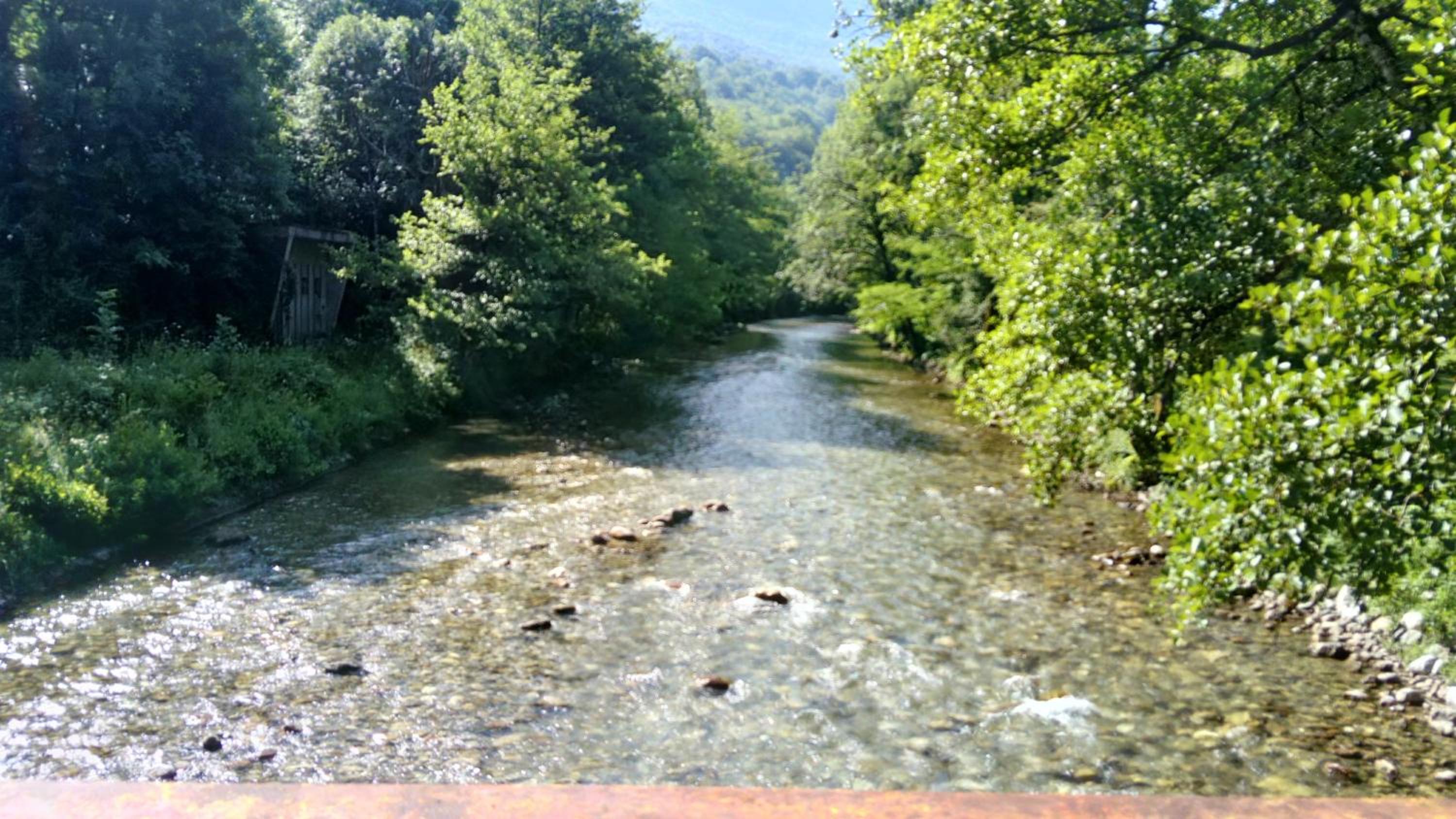 Tratinčica