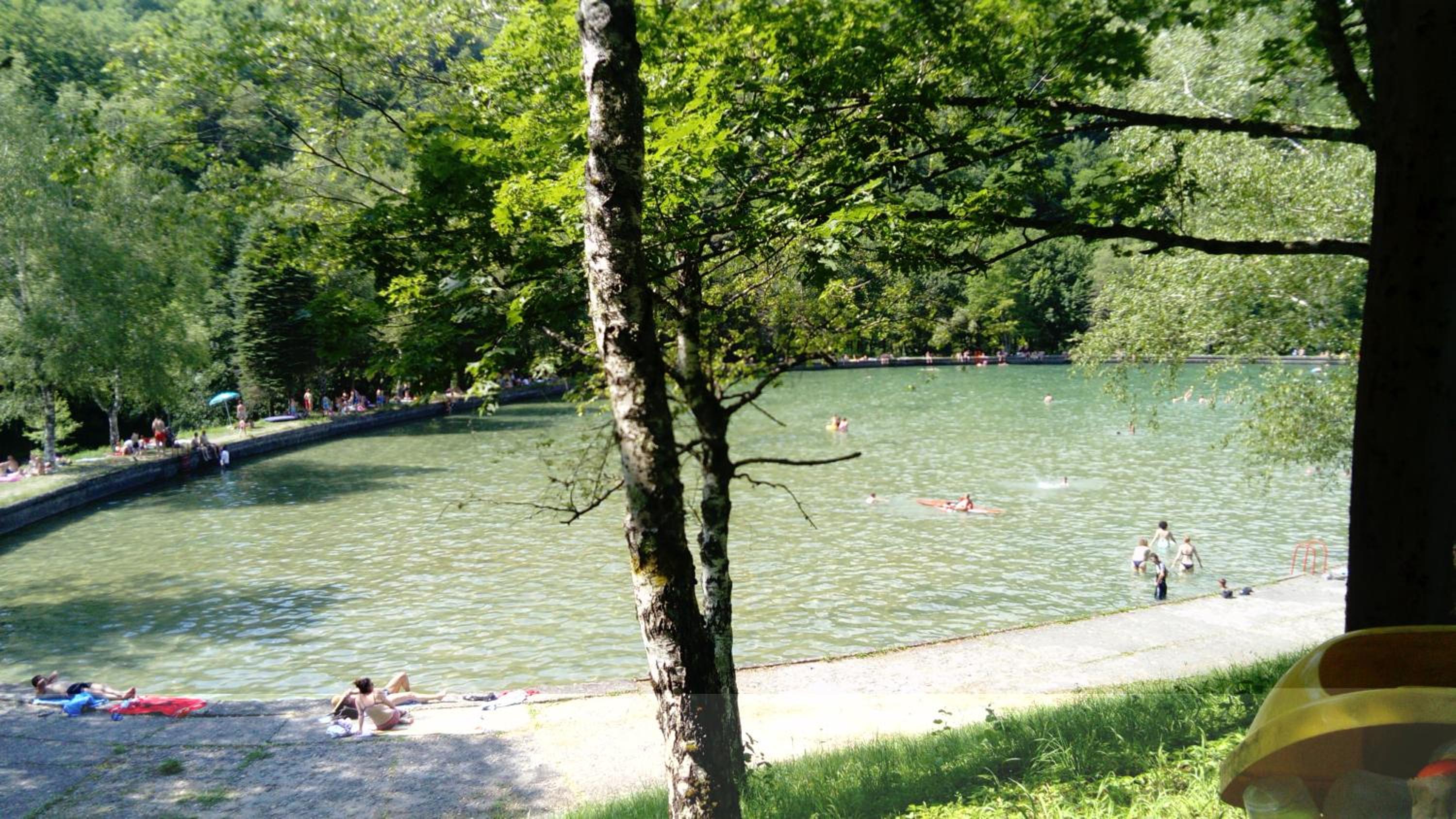Tratinčica
