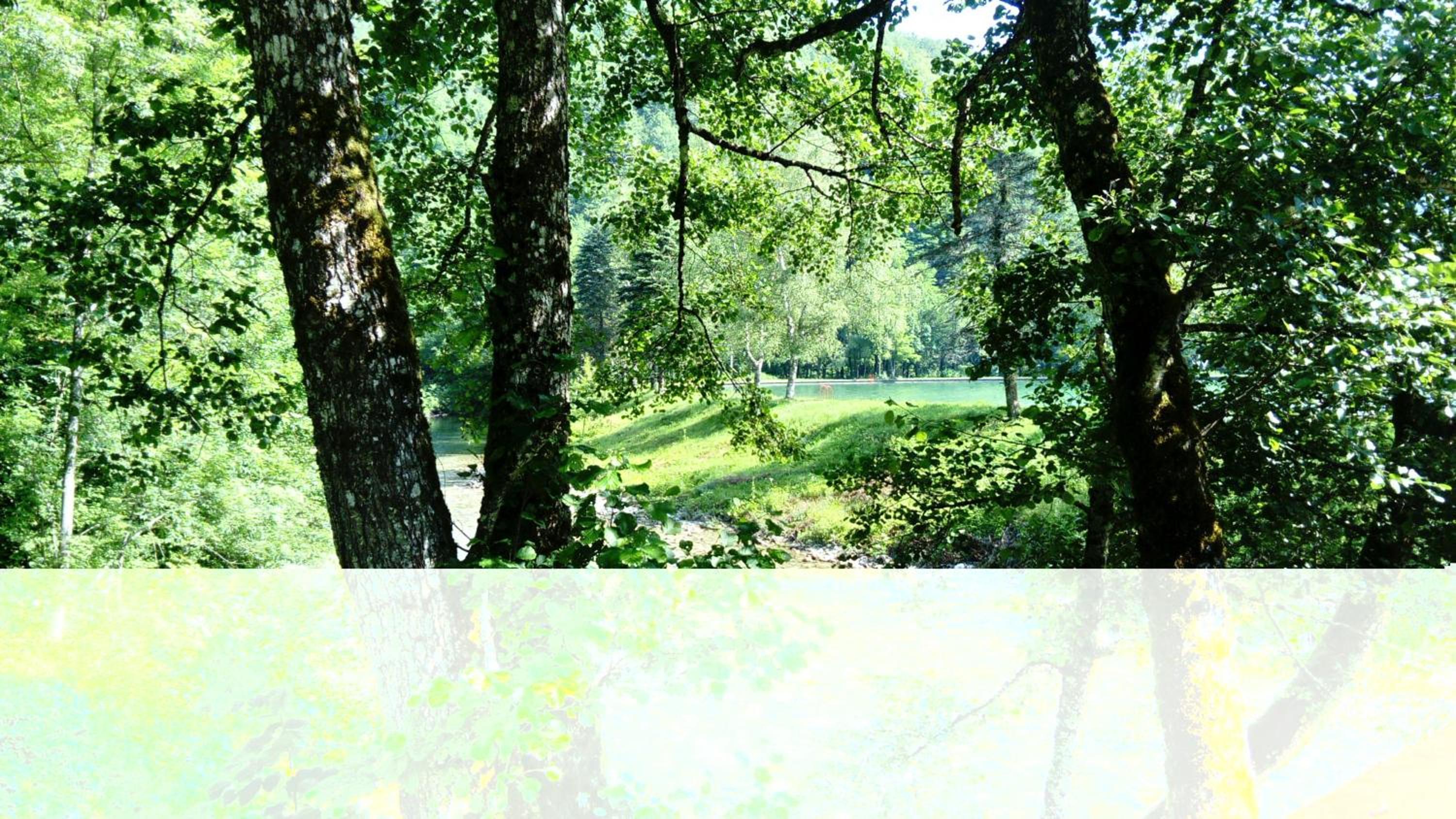 Tratinčica