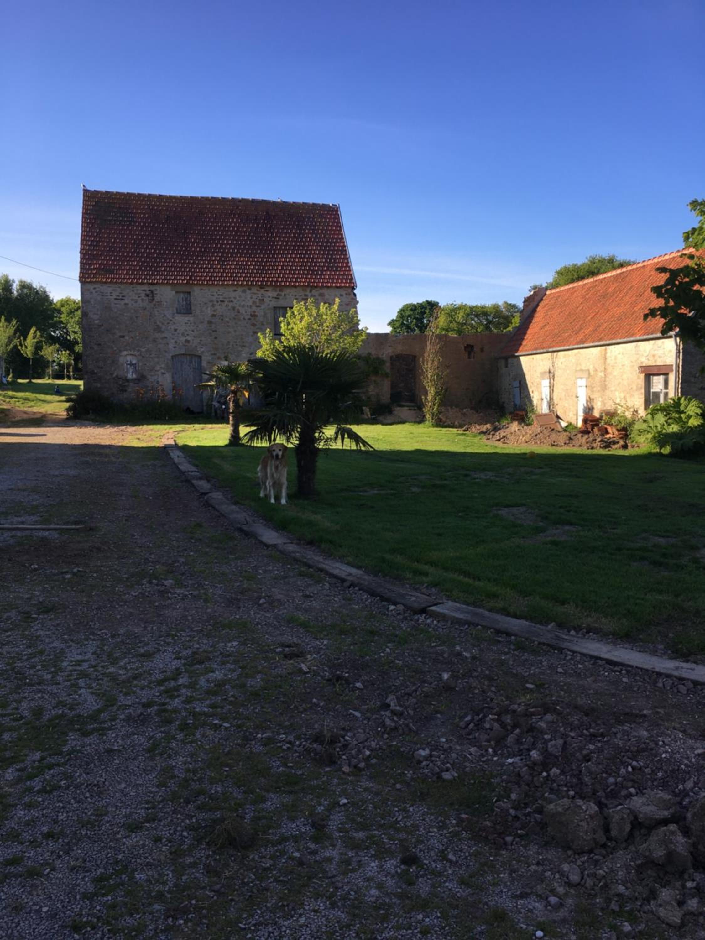 Photo 29