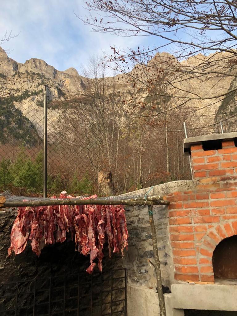 Cold Spring