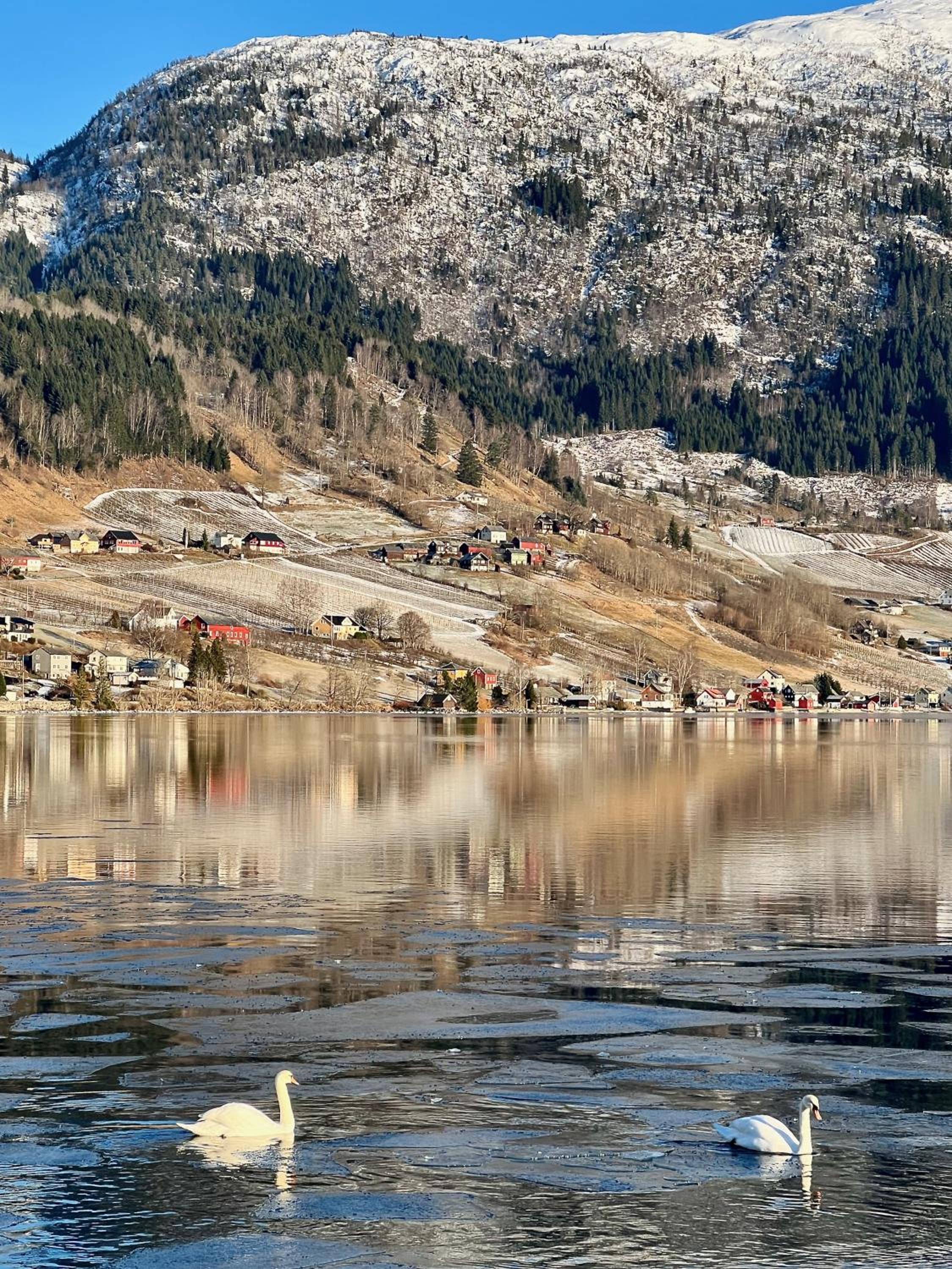 Hardangerfjord View - luxury fjord-side holiday home