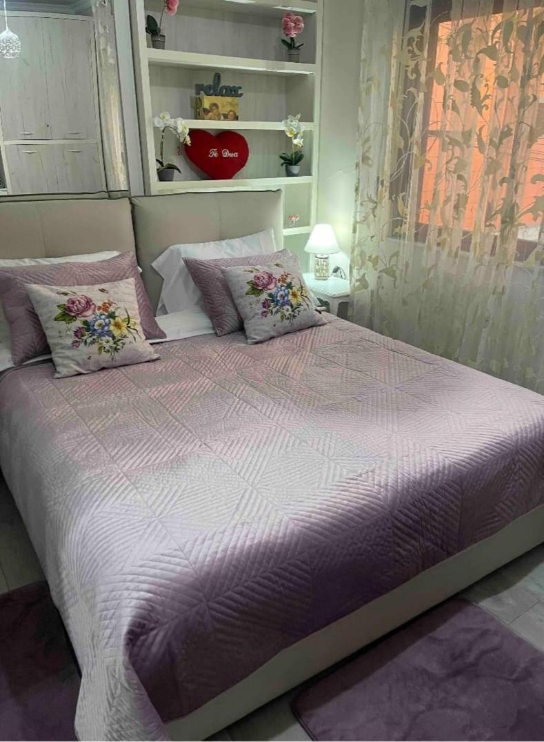 Warm apartment in the center of Tirana city
