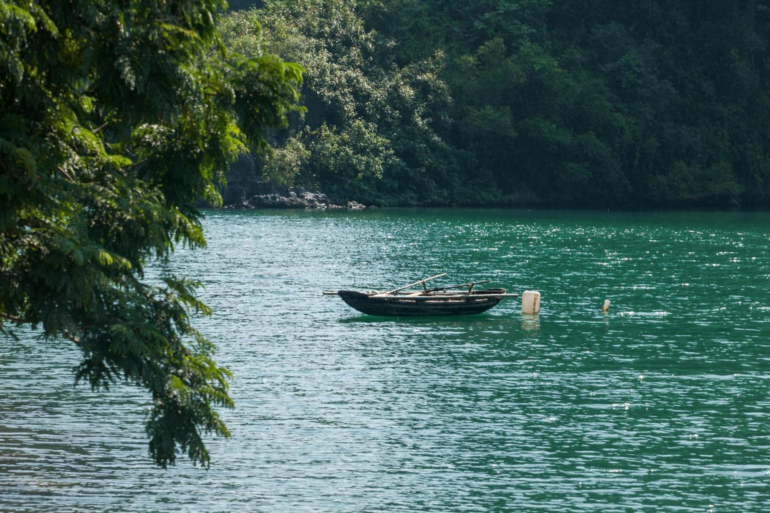 Cat Ba Cruise
