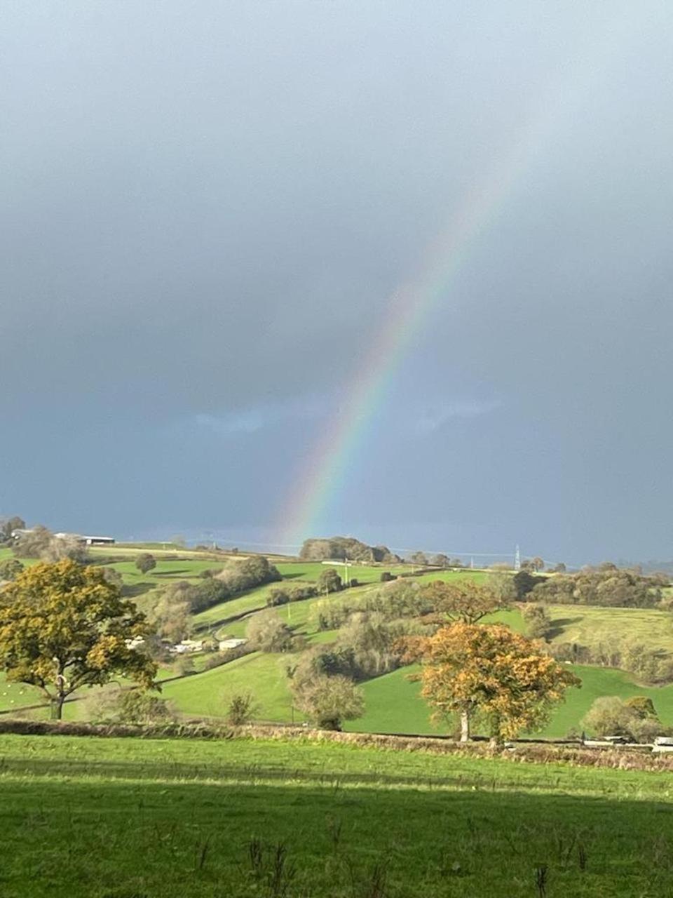 St Reatham Cottage view 4