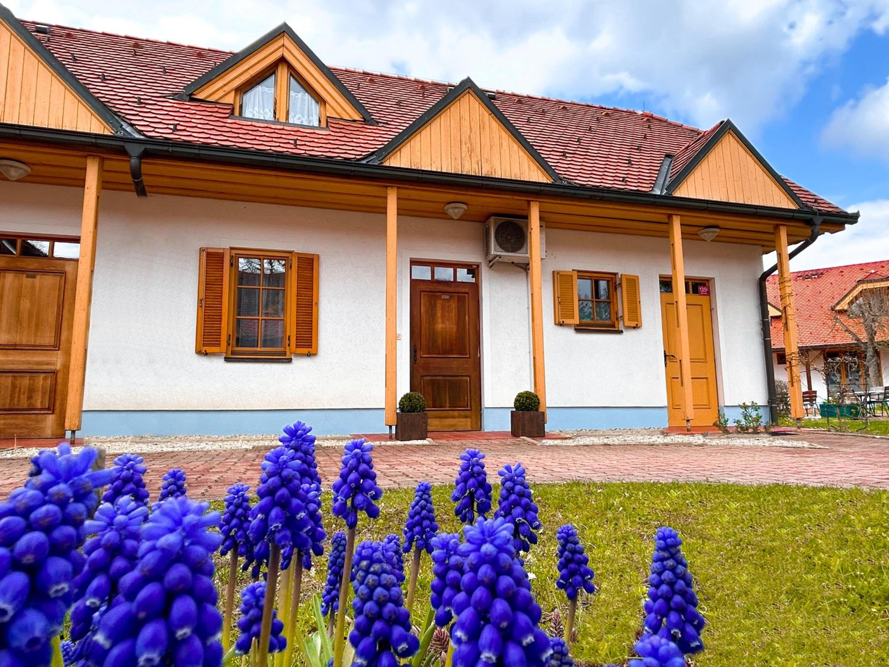 Miadora apartments - Apartma Prekmurska hiška