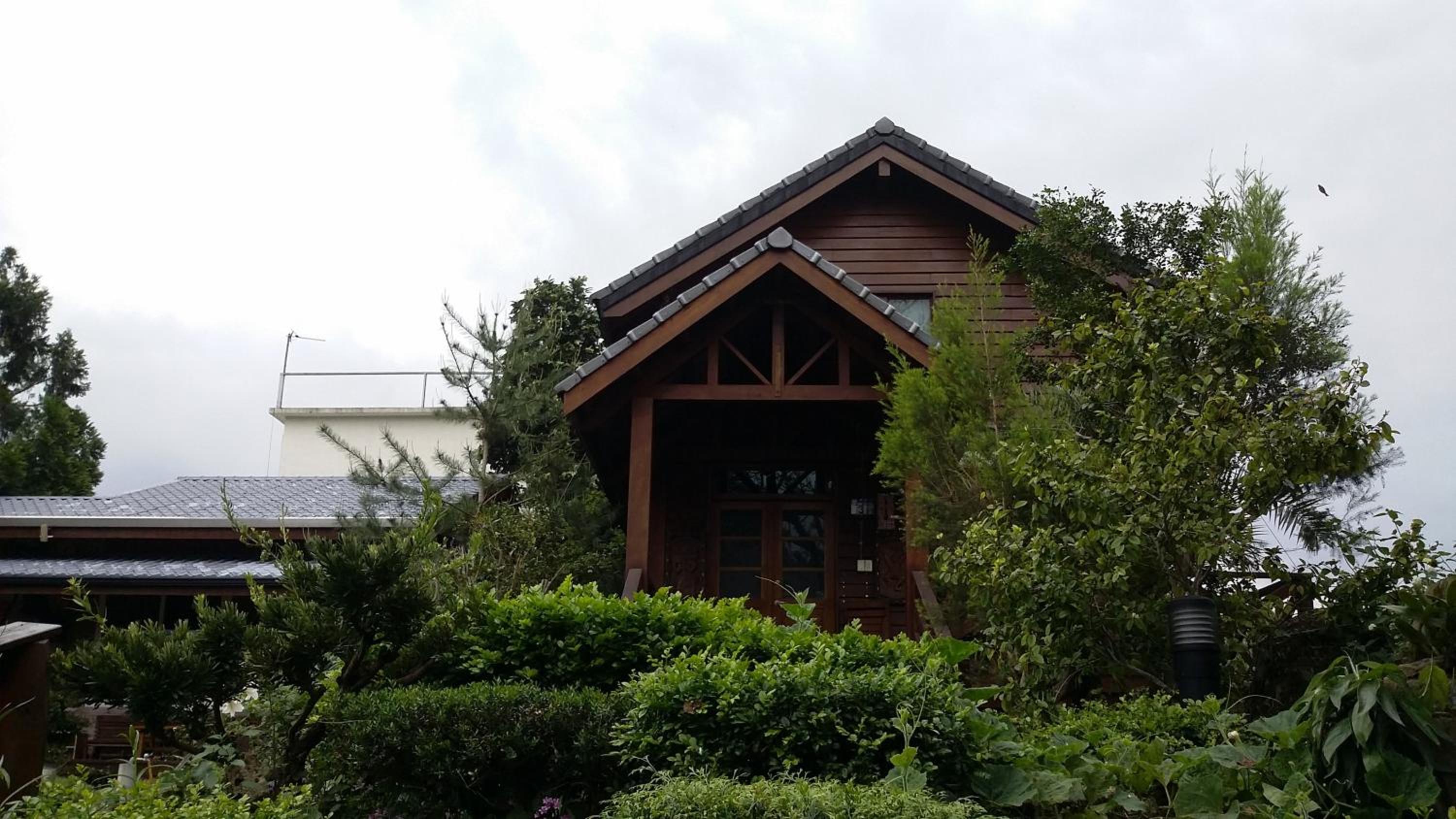 Photo 11