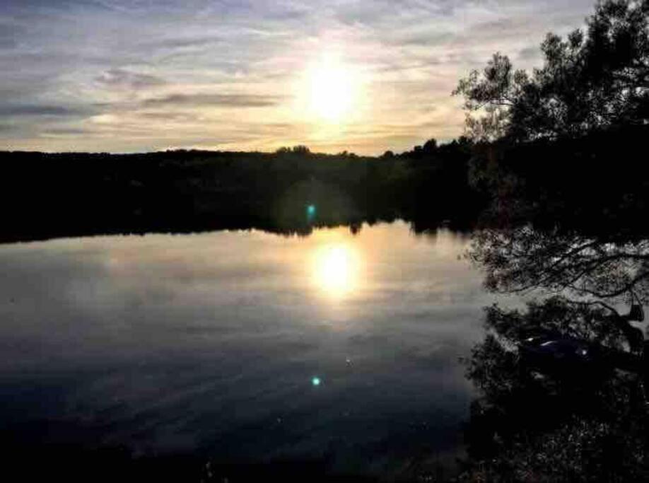 Oasis