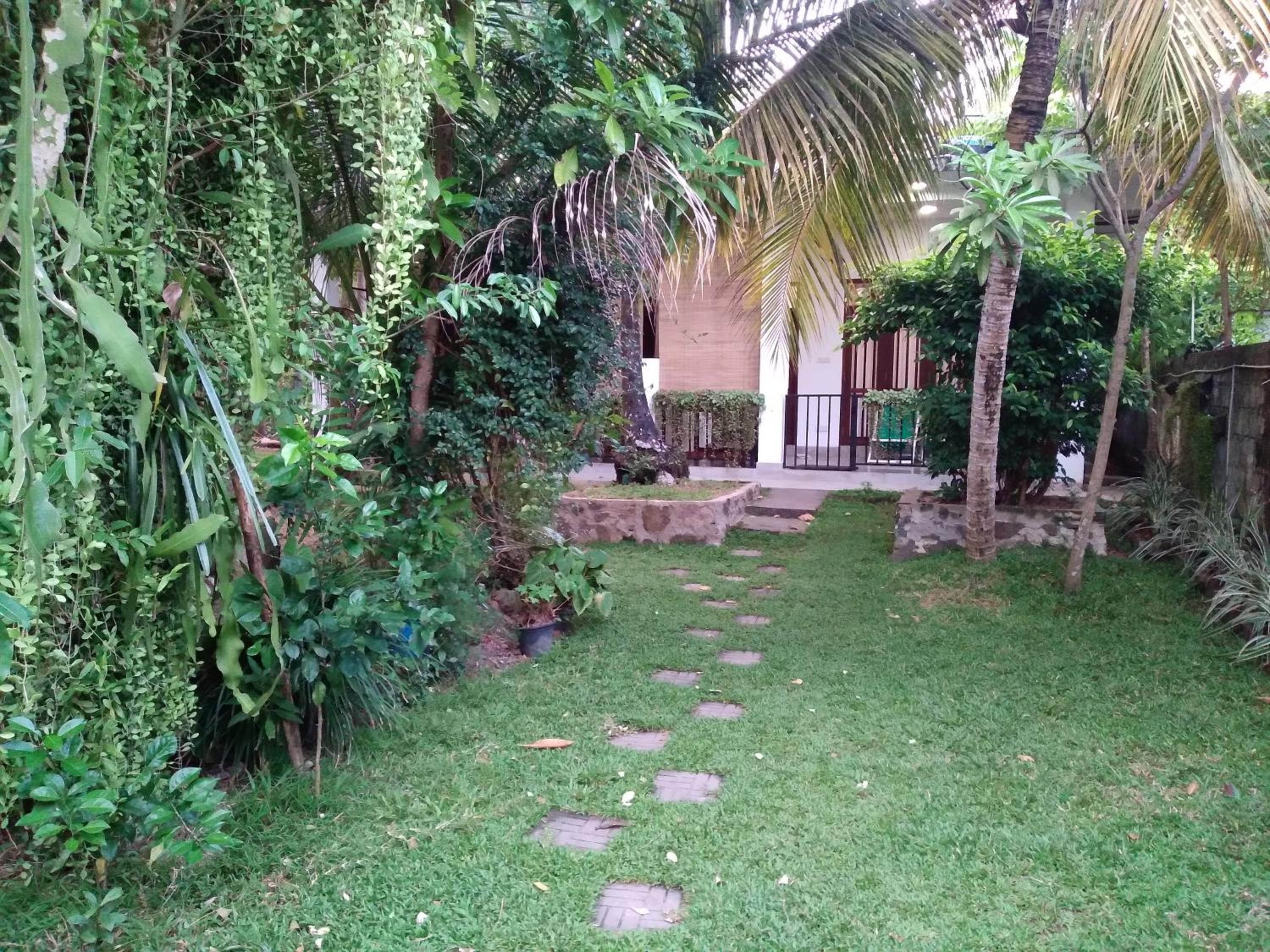 Photo 43