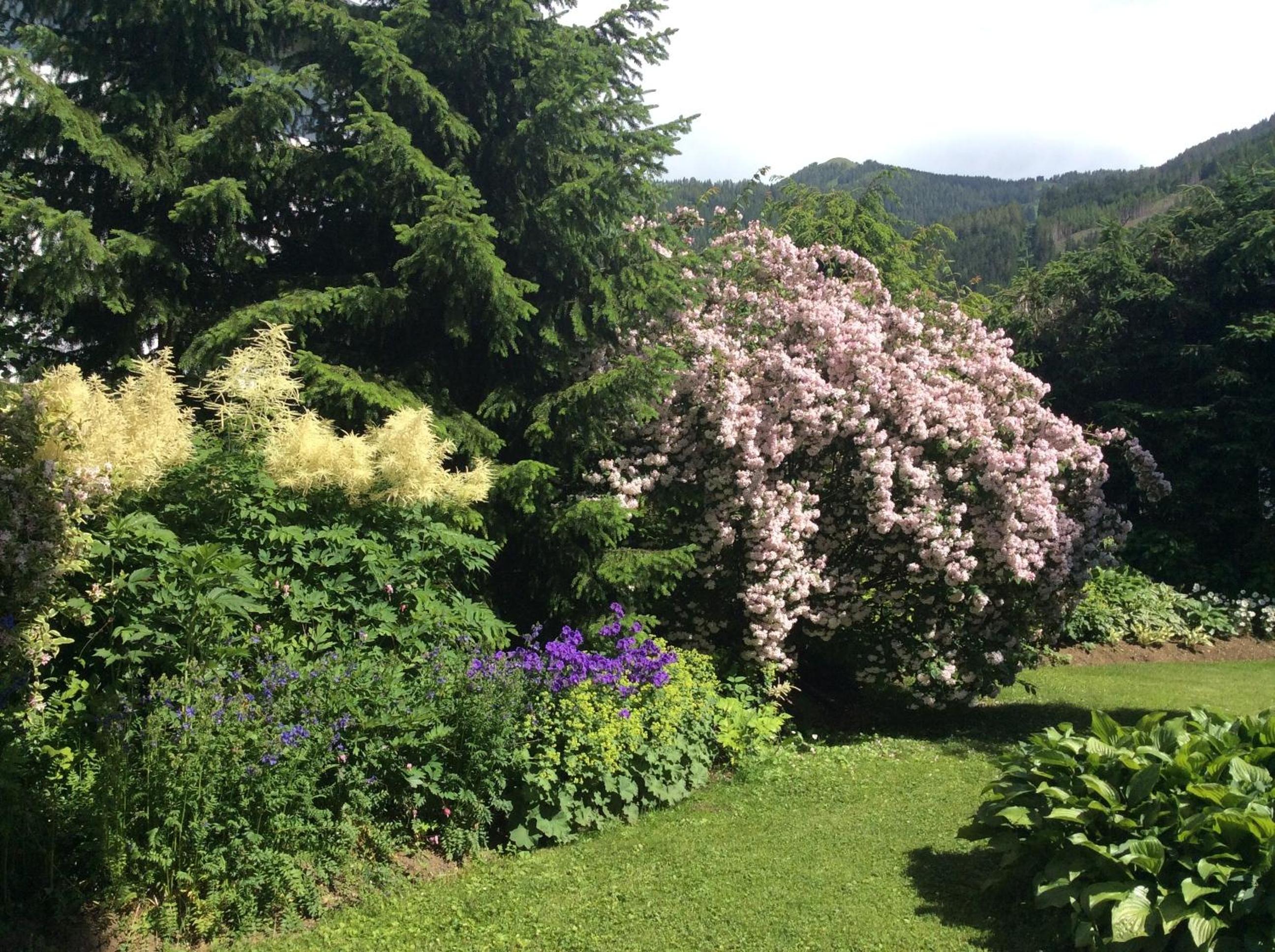 Ferienwohnungen Familie Wetzlinger