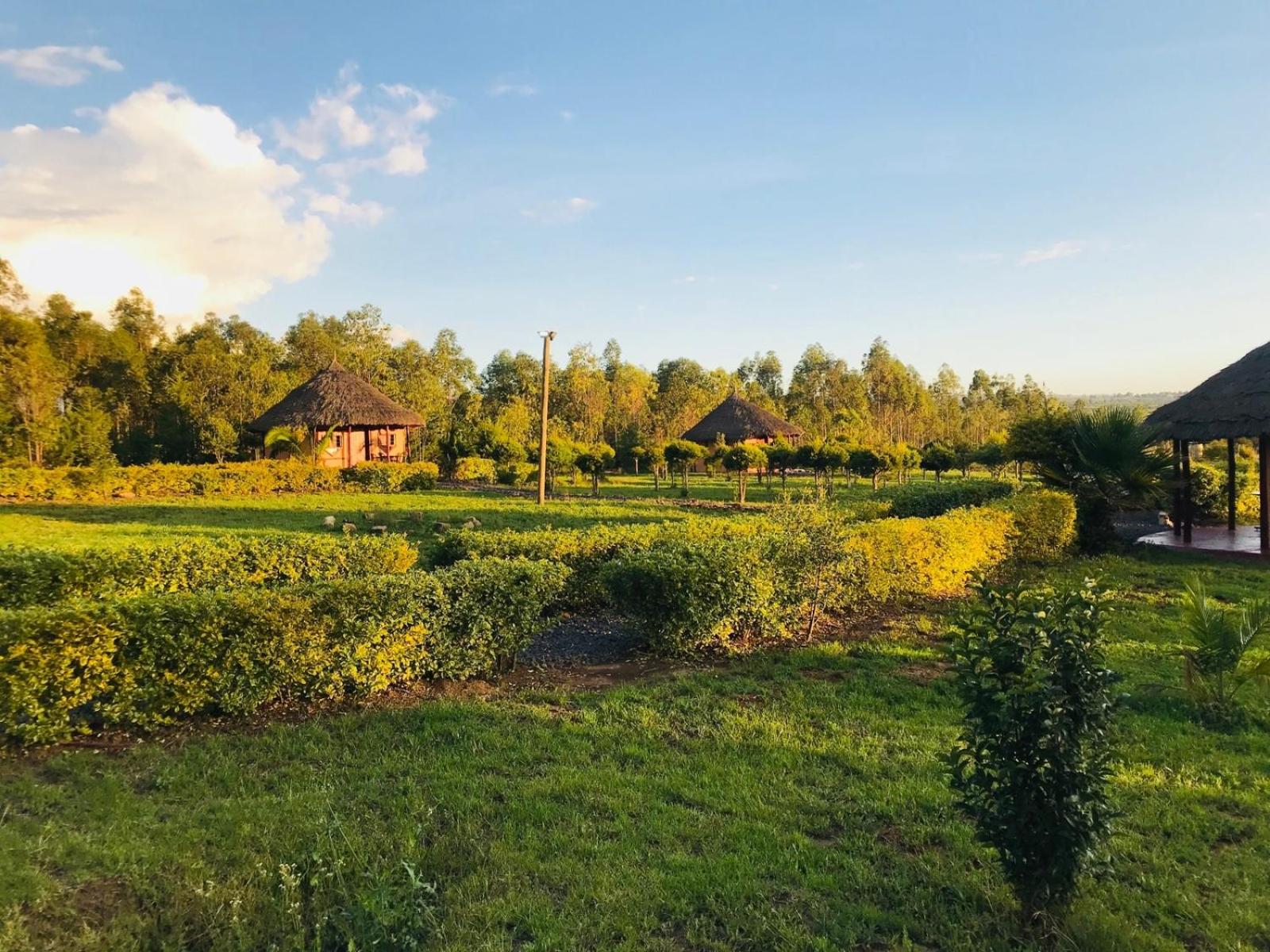 The Great Circle Lodge view 2