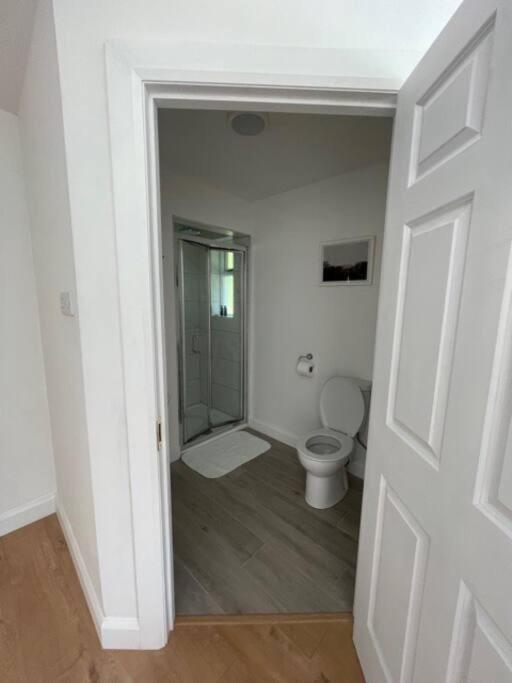 Newly renovated Cottage with private trout fishing set in beautiful wildlife estate view 4