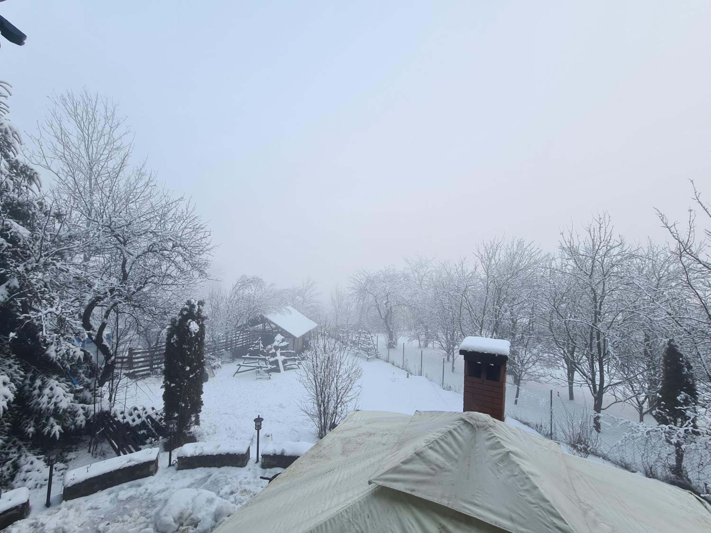 Tudor's Valea Doftanei view 5