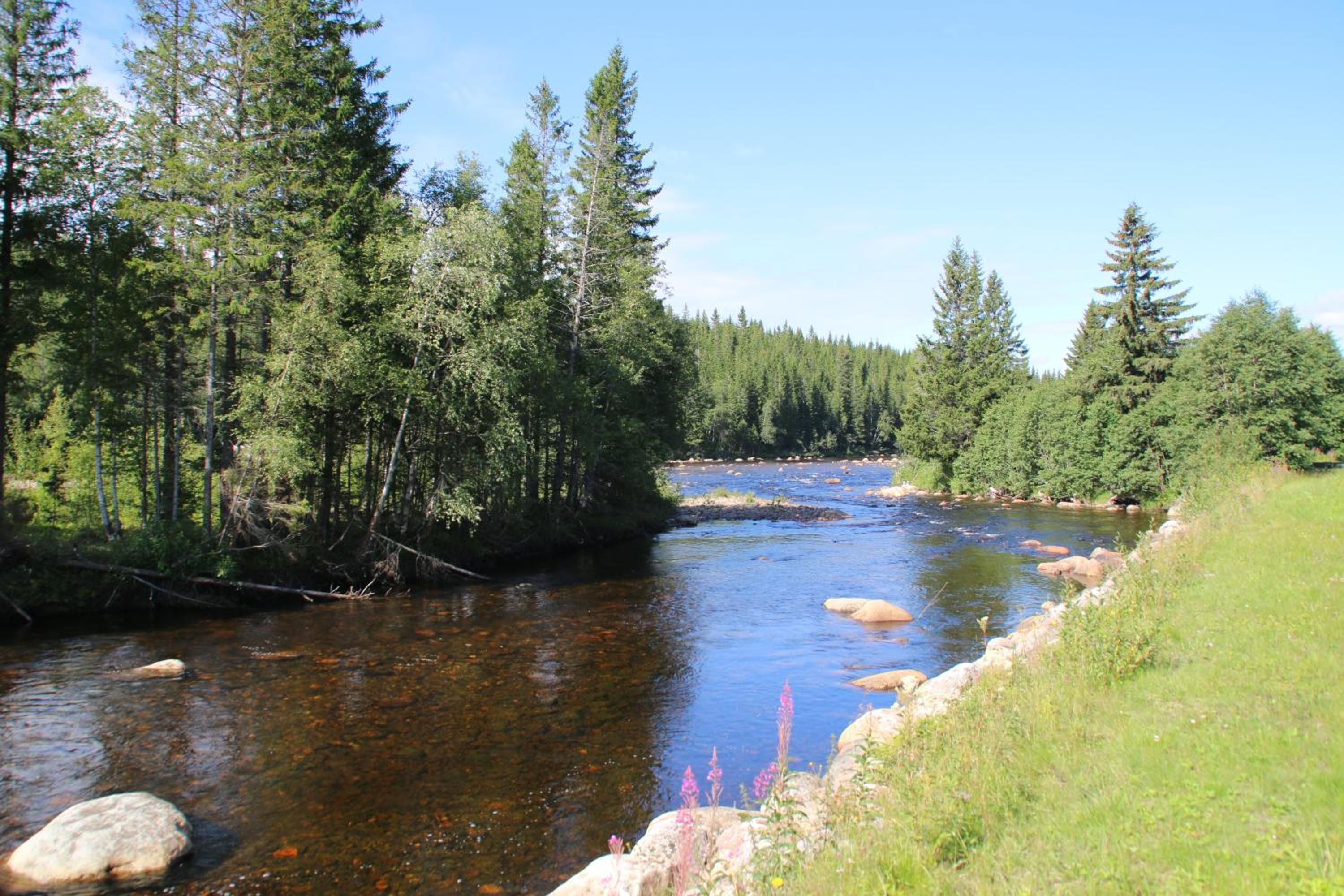 Gaulabua - cozy cabin by the river Gaula view 3