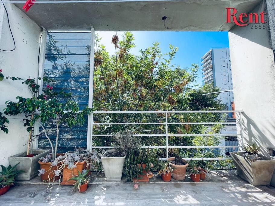Rent Plaza