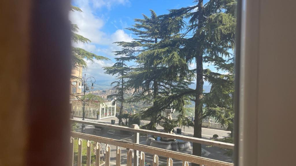 Hotel Doctor House standard, suites & luxury rooms