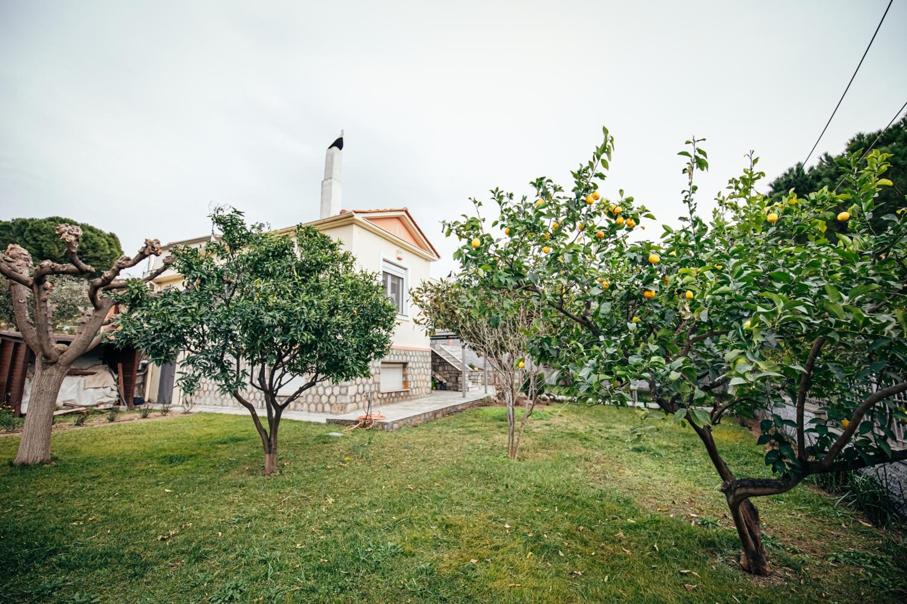 DAFNI'S HOME view 3
