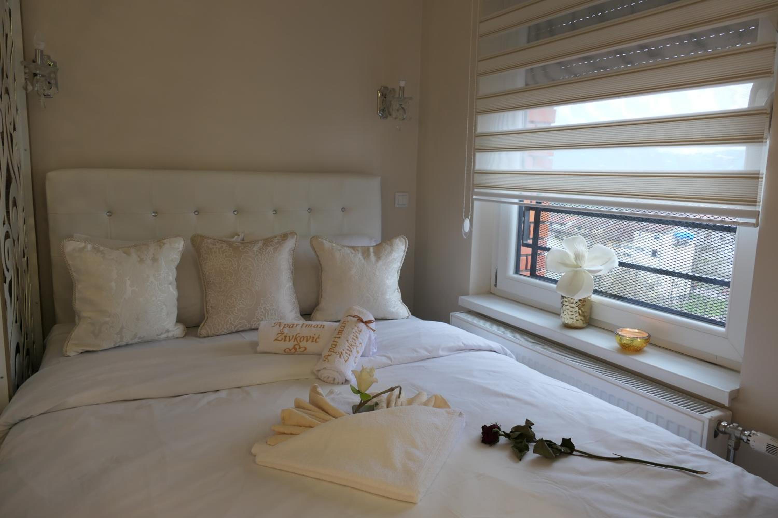 Apartman Živković