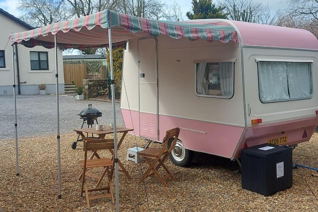 Molly The Vintage Caravan.