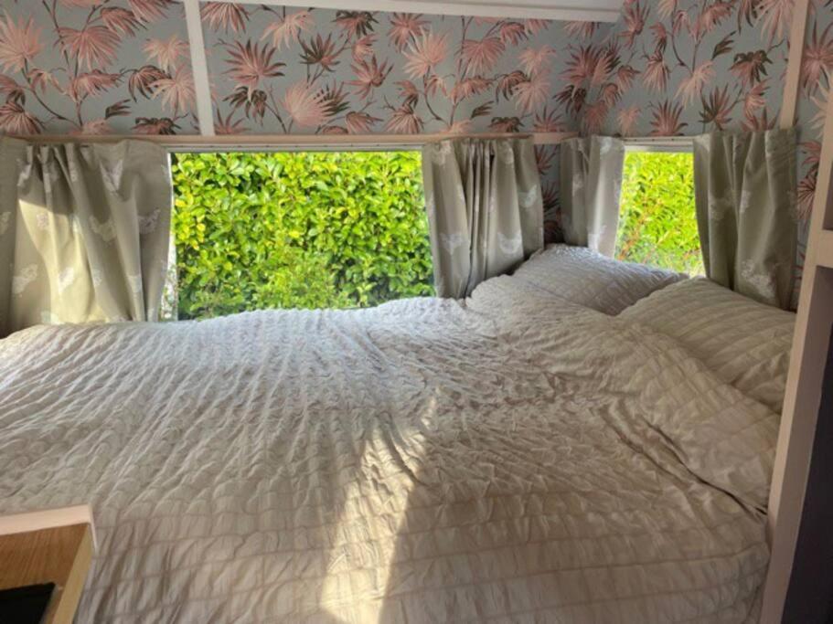 Molly The Vintage Caravan.
