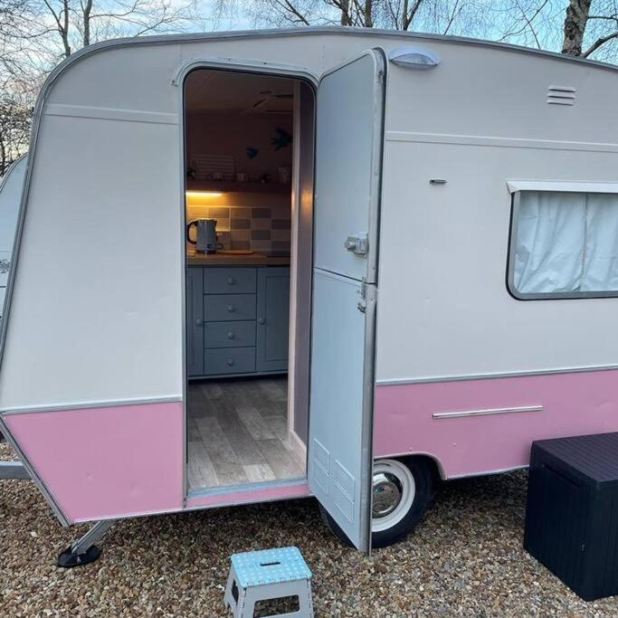 Molly The Vintage Caravan.