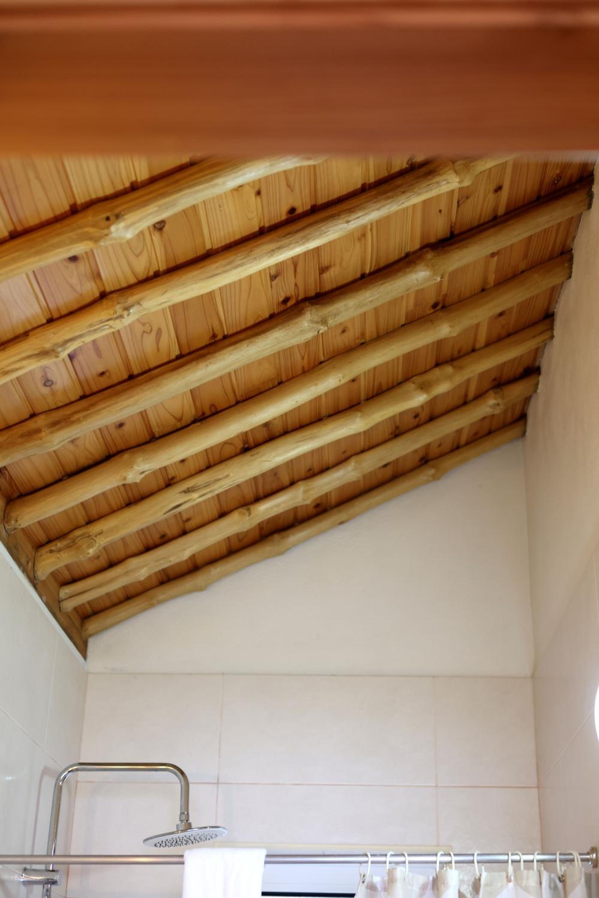 Casas Goulart view 2