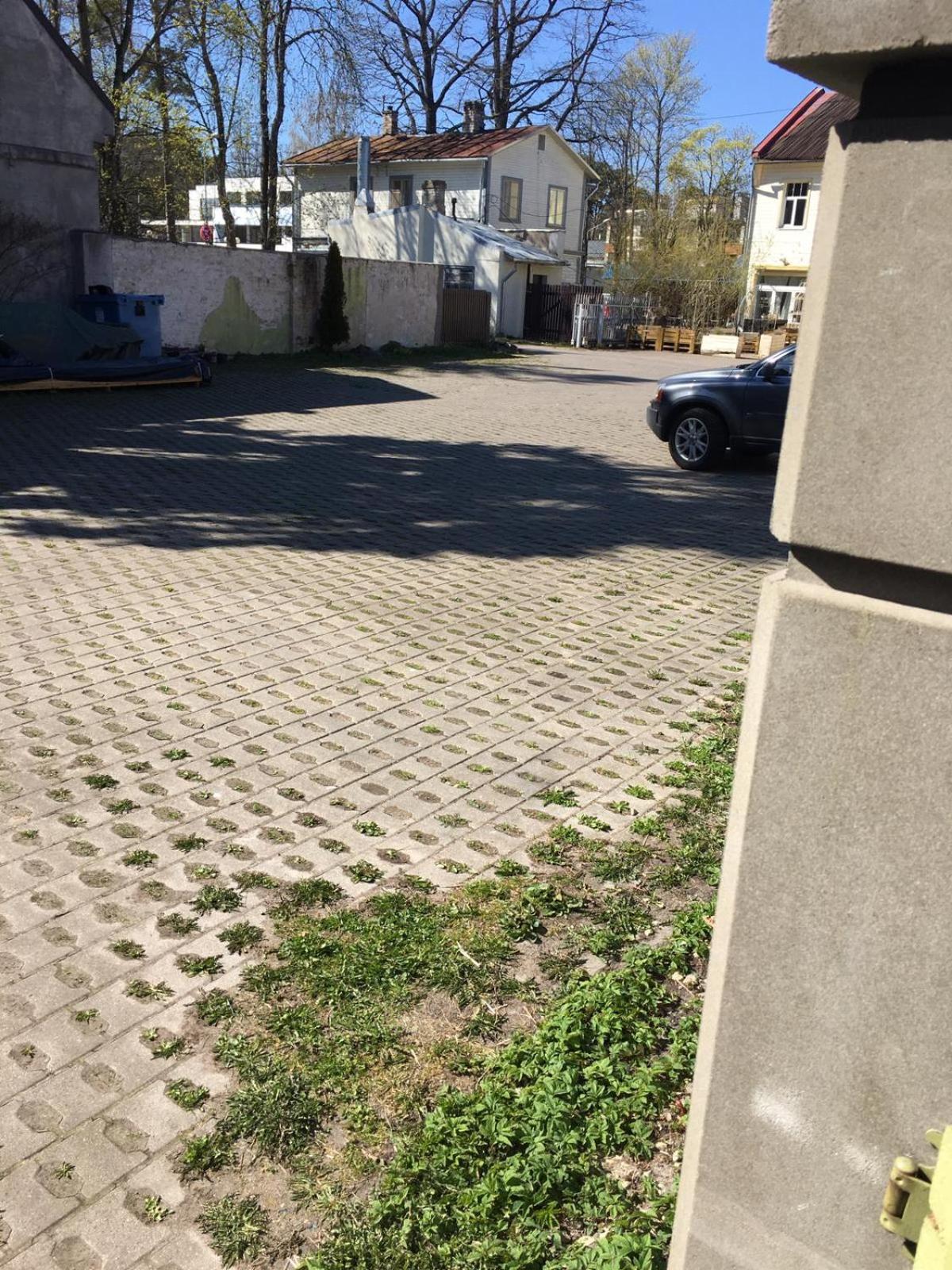 Photo 41