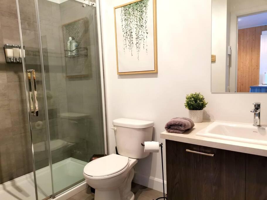 Penthouse With FREE indoor Parking Downtown
