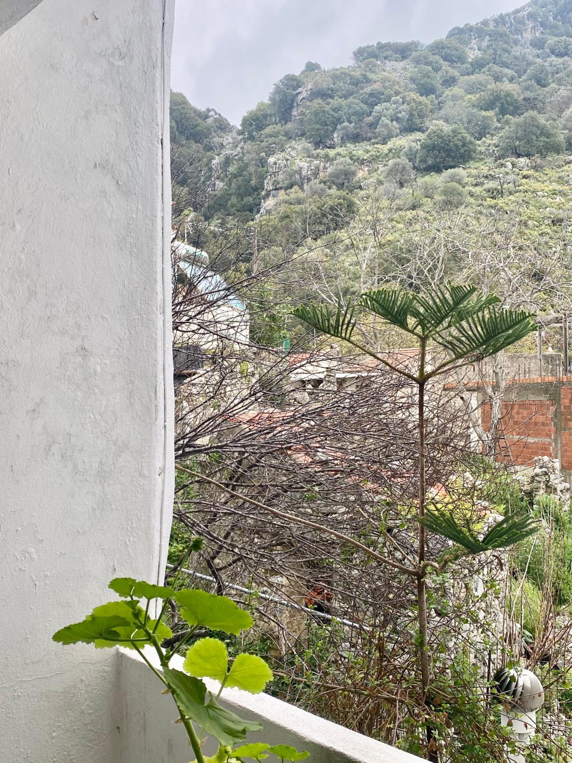 Costas Inn
