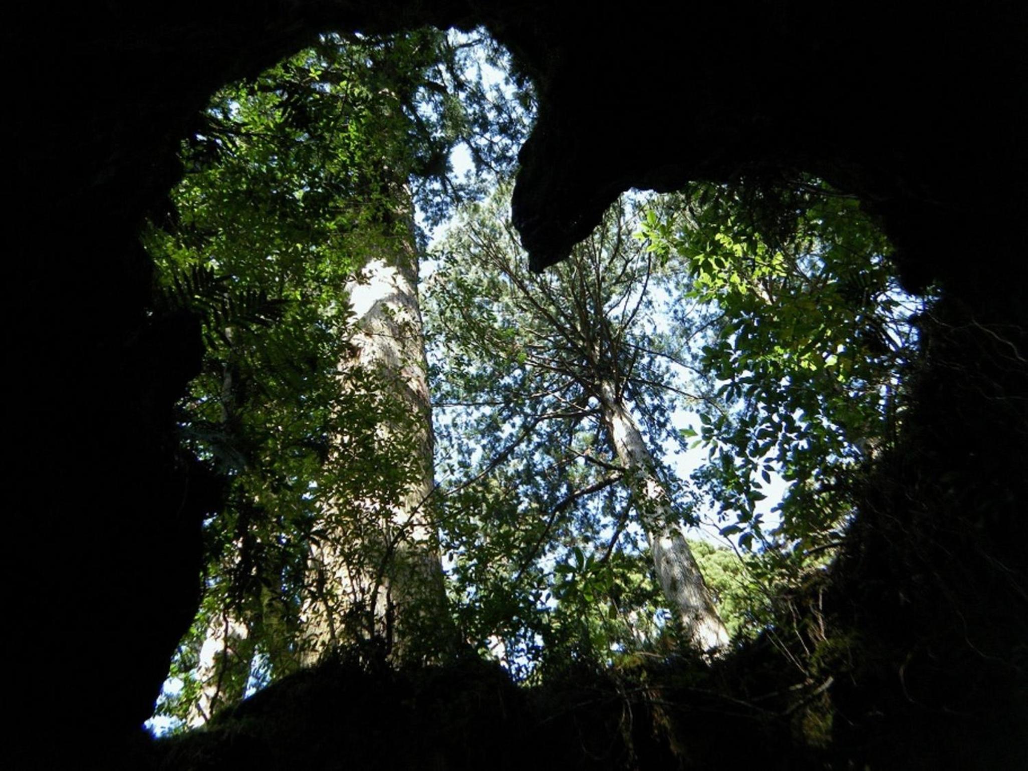 Photo 25